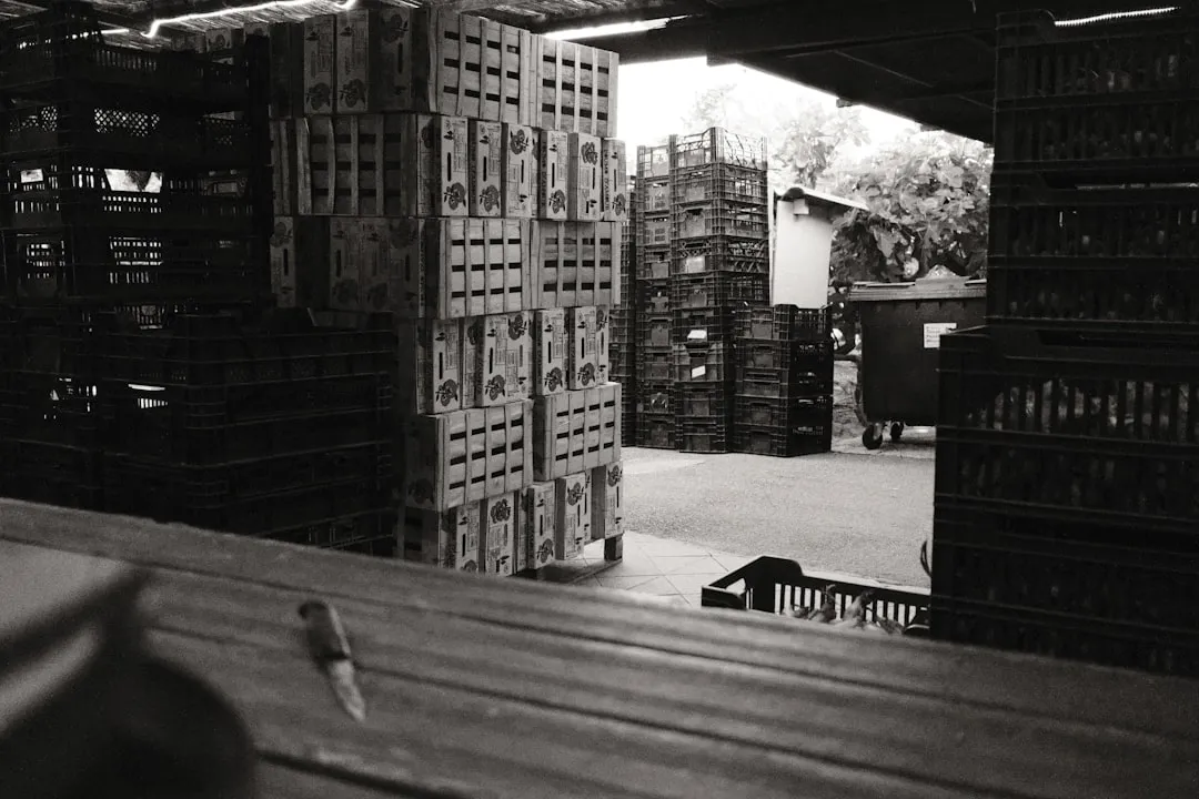 活动主视觉设计与舞台背景设计如何提升海南企业活动品牌调性
